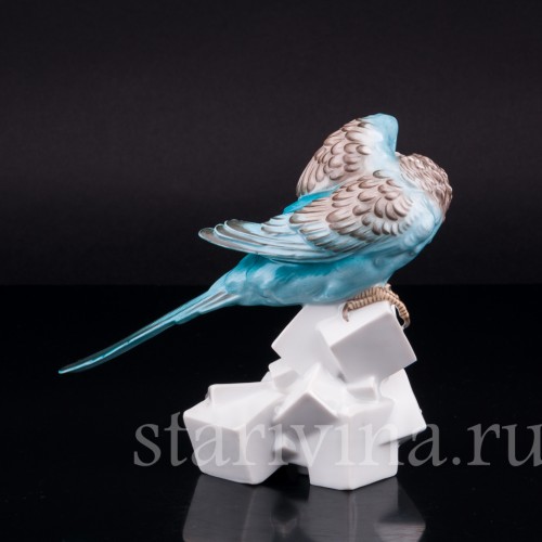 Волнистый попугай на сахаре, Augarten, Австрия, сер. 20 в