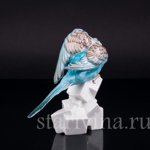 Волнистый попугай на сахаре, Augarten, Австрия, сер. 20 в