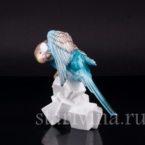 Волнистый попугай на сахаре, Augarten, Австрия, сер. 20 в