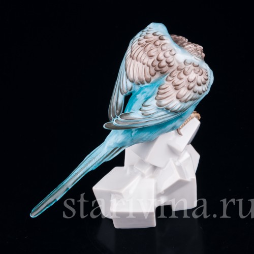 Волнистый попугай на сахаре, Augarten, Австрия, сер. 20 в