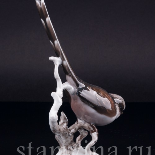 Длиннохвостая синица, Rosenthal, Германия, 1960 гг