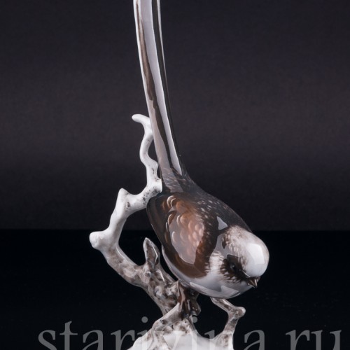 Длиннохвостая синица, Rosenthal, Германия, 1960 гг