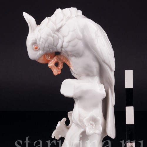 Какаду, Hutschenreuther, Германия, 1938-55 гг