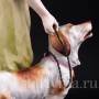 Фарфорвая статуэтка Девушка с собакой, Германия, 19 в.