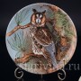 Три декоративные тарелки Мудрые совы, Coalport, Великобритания, 1990 г