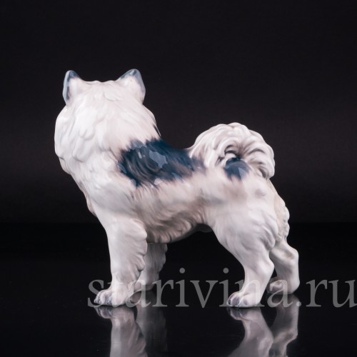 Гренландская собака, Dahl Jensen, Дания, 1920-80 гг