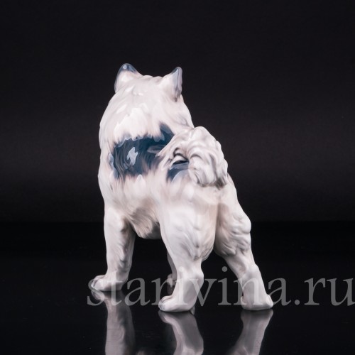 Гренландская собака, Dahl Jensen, Дания, 1920-80 гг