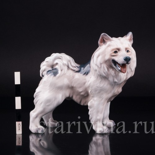 Гренландская собака, Dahl Jensen, Дания, 1920-80 гг