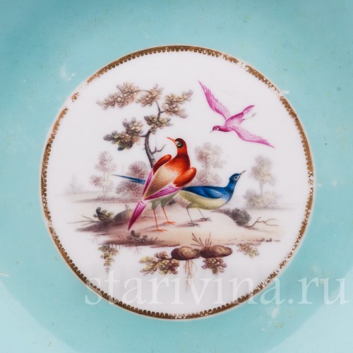 Экзотические птицы, Coalport, Великобритания, сер. 19 в