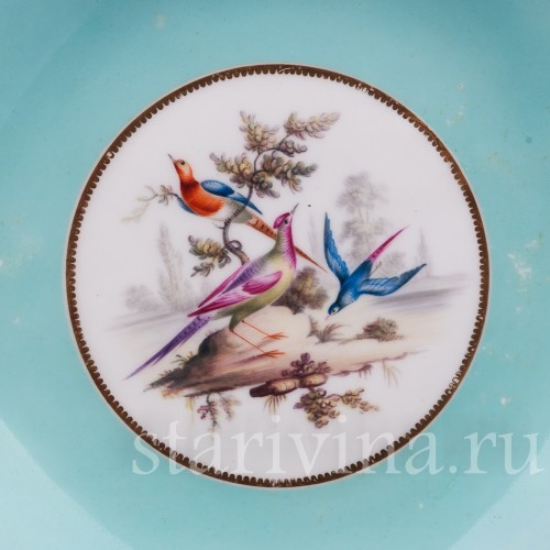 Экзотические птицы, Coalport, Великобритания, сер. 19 в