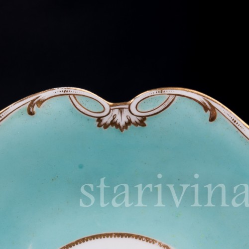 Экзотические птицы, Coalport, Великобритания, сер. 19 в