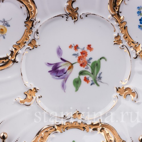 Тюльпан, Meissen, Германия, 1952 г