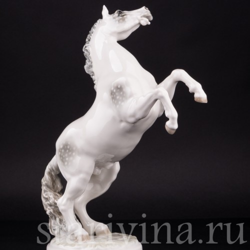 Конь на дыбах, Hutschenreuther, Германия, 1938-55 гг