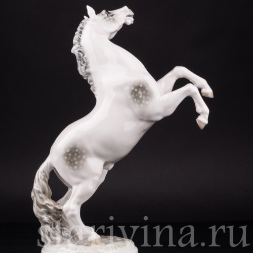 Конь на дыбах, Hutschenreuther, Германия, 1938-55 гг