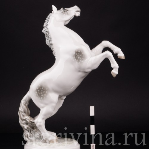 Конь на дыбах, Hutschenreuther, Германия, 1938-55 гг