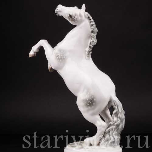 Конь на дыбах, Hutschenreuther, Германия, 1938-55 гг