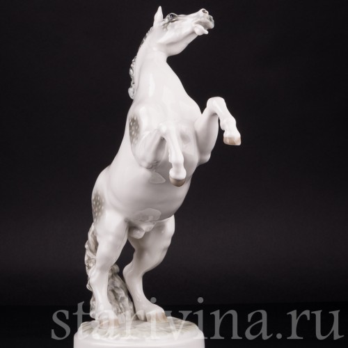 Конь на дыбах, Hutschenreuther, Германия, 1938-55 гг