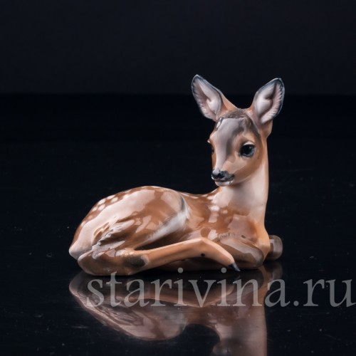 Олененок, Eschenbach, Германия, 1945-49 гг