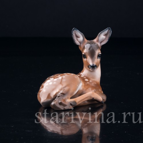 Олененок, Eschenbach, Германия, 1945-49 гг