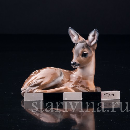 Олененок, Eschenbach, Германия, 1945-49 гг