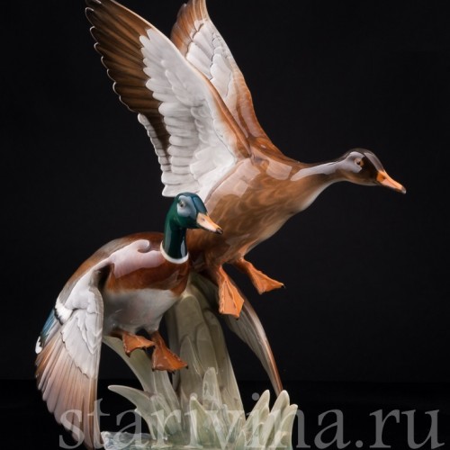 Взлетающие утки, Hutschenreuther, Германия, 1970 гг