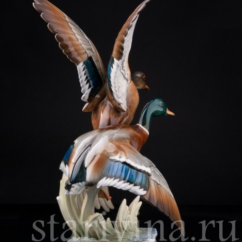 Взлетающие утки, Hutschenreuther, Германия, 1970 гг