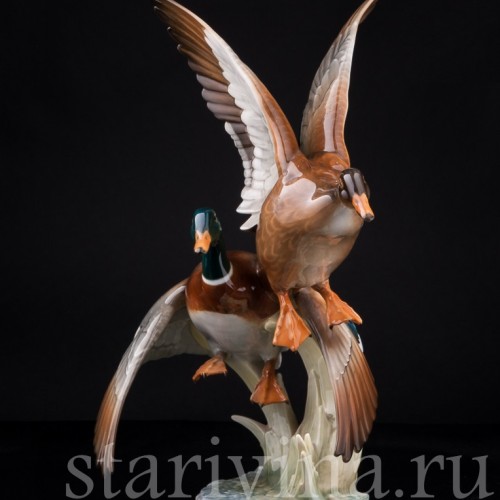 Взлетающие утки, Hutschenreuther, Германия, 1970 гг