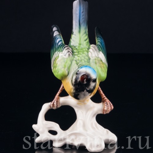 Синица-лазоревка, Goebel, Германия, до 1990 г