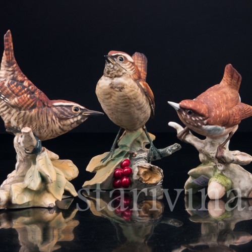 Крапивник на ветке, Capodimonte, Италия, сер. 20 в