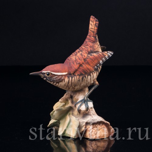 Крапивник на ветке, Capodimonte, Италия, сер. 20 в