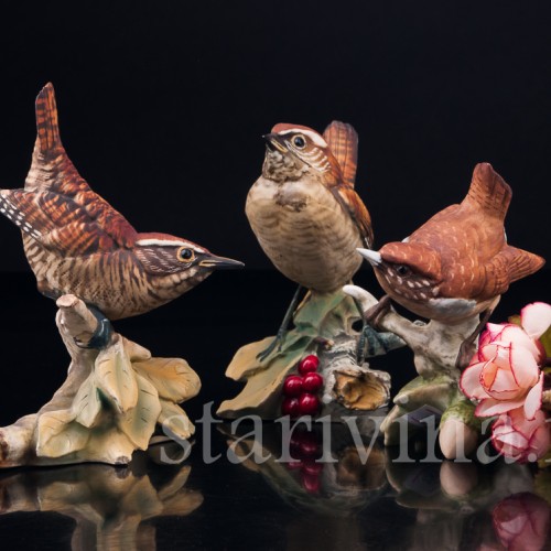 Крапивник на ветке с ягодами, Capodimonte, Италия, сер. 20 в