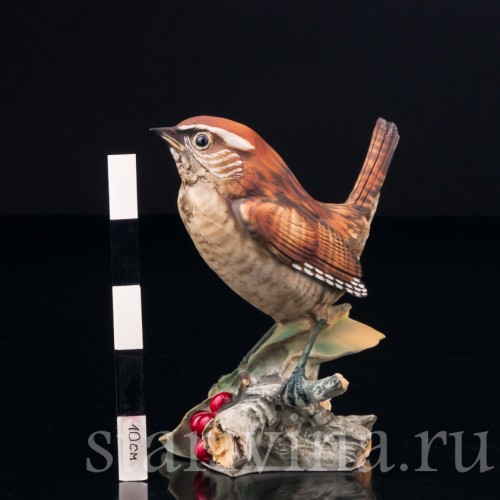 Крапивник на ветке с ягодами, Capodimonte, Италия, сер. 20 в