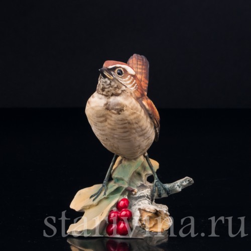 Крапивник на ветке с ягодами, Capodimonte, Италия, сер. 20 в