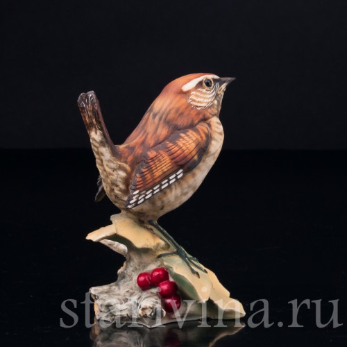 Крапивник на ветке с ягодами, Capodimonte, Италия, сер. 20 в