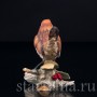 Крапивник на ветке с ягодами, Capodimonte, Италия, сер. 20 в
