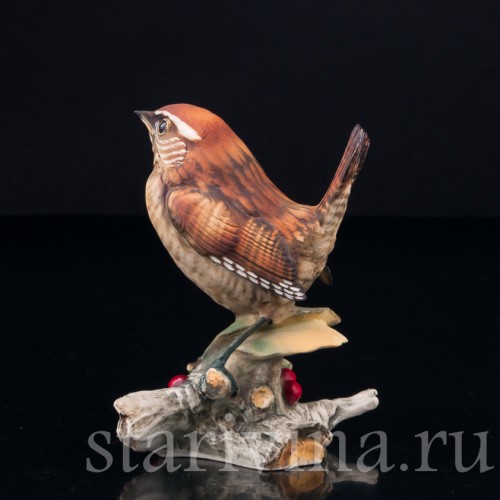 Крапивник на ветке с ягодами, Capodimonte, Италия, сер. 20 в