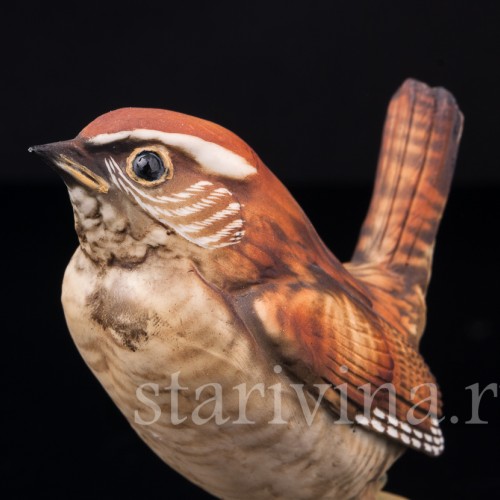 Крапивник на ветке с ягодами, Capodimonte, Италия, сер. 20 в