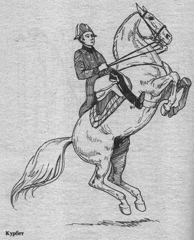 Статуэтка Курбет, испанская школа верховой езды, Augarten, Австрия, сер. 20 в.