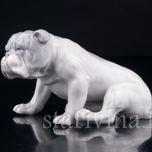 Английский бульдог, Heubach, Германия, нач. 20 в