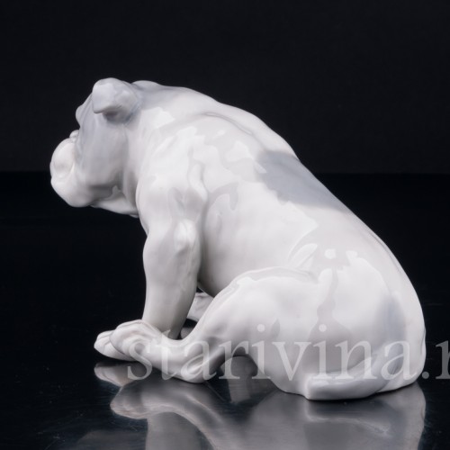 Английский бульдог, Heubach, Германия, нач. 20 в