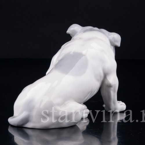 Английский бульдог, Heubach, Германия, нач. 20 в