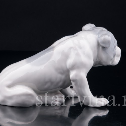 Английский бульдог, Heubach, Германия, нач. 20 в