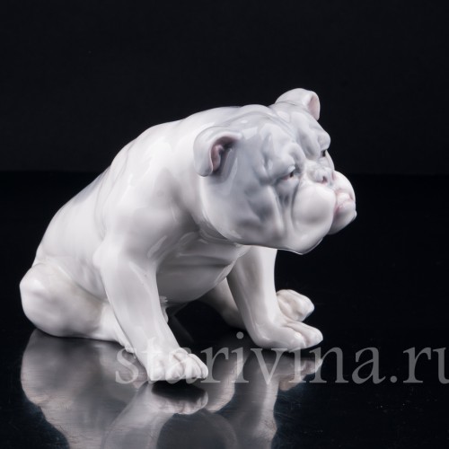 Английский бульдог, Heubach, Германия, нач. 20 в