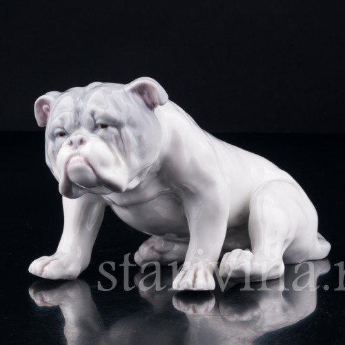 Английский бульдог, Heubach, Германия, нач. 20 в