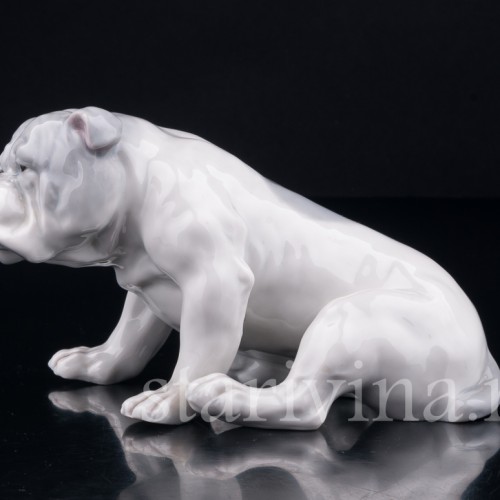 Английский бульдог, Heubach, Германия, нач. 20 в