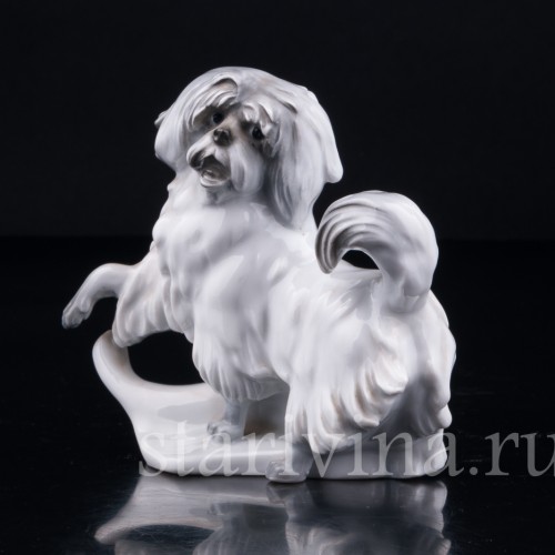 Статуэтка из фарфора Собака, Karl Ens, Германия, 1920-30 гг.
