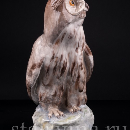 Ушастая сова, Karl Ens, Германия, нач. 20 в