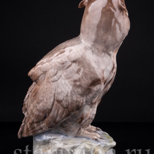 Ушастая сова, Karl Ens, Германия, нач. 20 в