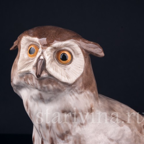 Ушастая сова, Karl Ens, Германия, нач. 20 в