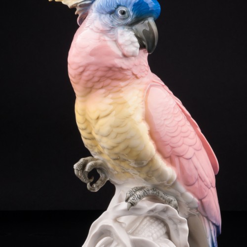 Попугай какаду на кукурузе, Karl Ens, Германия, 1920-30 гг